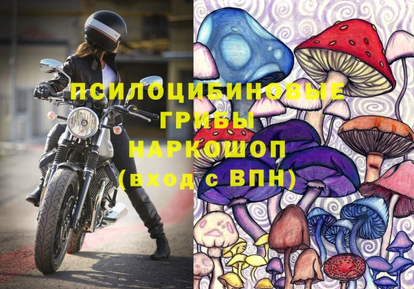 прущие грибы Алексеевка