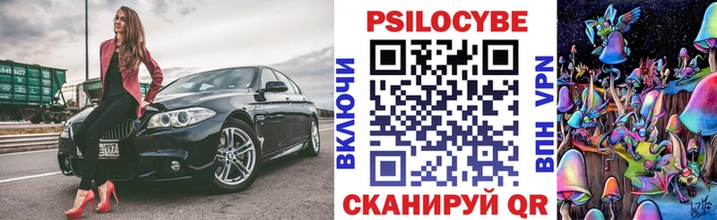 Галлюциногенные грибы Psilocybine cubensis  продажа наркотиков  Дзержинский 
