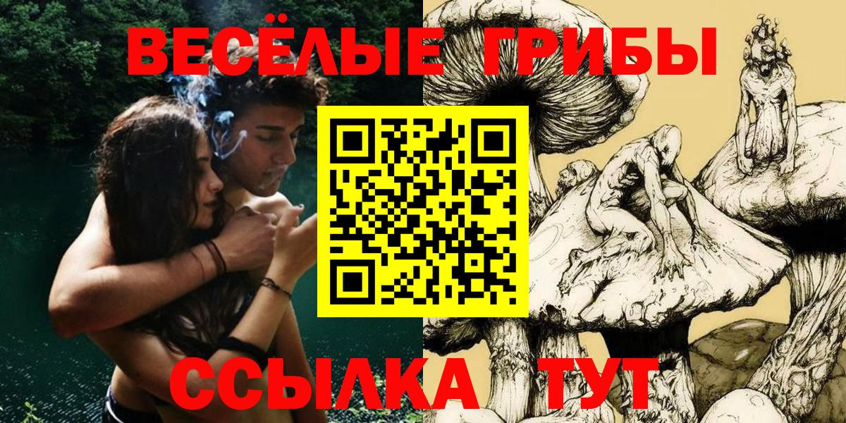 Псилоцибиновые грибы мухоморы Дзержинский