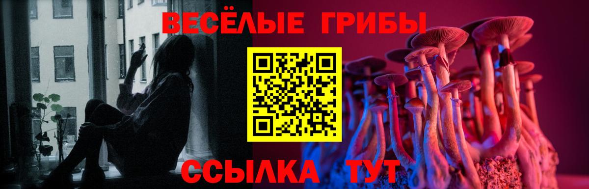 Псилоцибиновые грибы GOLDEN TEACHER  Вход с VPN  Дзержинский 